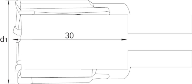 Afbeeldingen van Phantom HM-tip Kernboor Rail, snijdiepte 30 mm 62.210