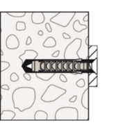 Afbeeldingen van fischer Plug SX