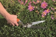 Afbeeldingen van BAHCO Grasschaar GS-76