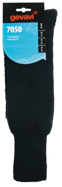 Afbeeldingen van Thermosok blauw