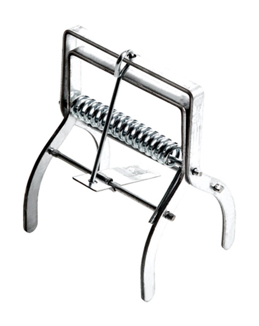 Afbeeldingen van Talen Tools Mollenklem