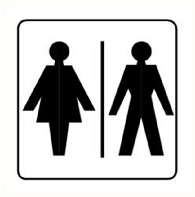 Afbeeldingen van Pikt-o-norm Pictogram toilet dames en heren wit/zwart