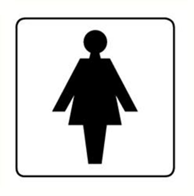 Afbeeldingen van Pikt-o-norm Pictogram toilet dames wit/zwart