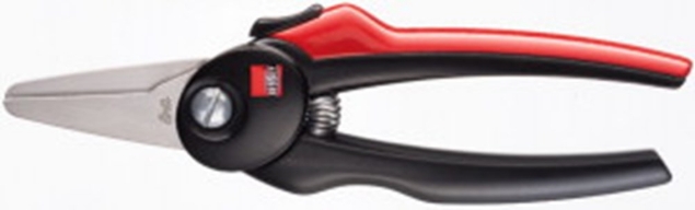 Afbeeldingen van BESSEY Combischaar recht D48