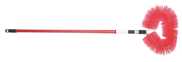 Afbeelding voor categorie Raagbollen